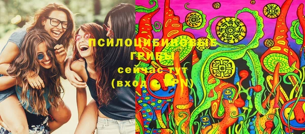 PSILOCYBIN Краснотурьинск