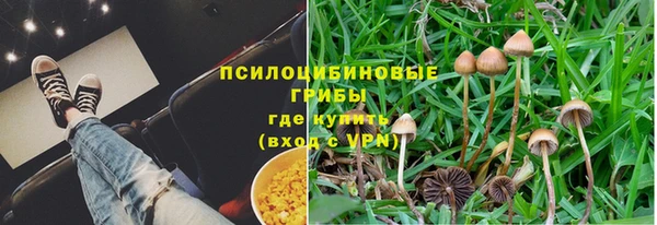 ПСИЛОЦИБИНОВЫЕ ГРИБЫ Куйбышев