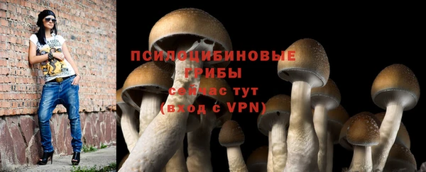 экстази Краснослободск
